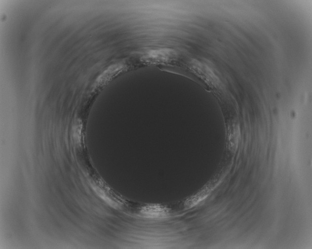 X0000085040231200703191241