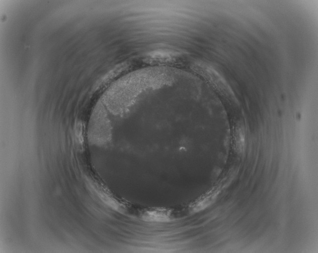 X0000085040232200703191241