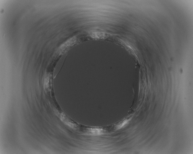 X0000085040233200703191241