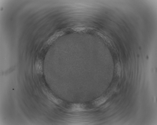 X0000085040234200703191241