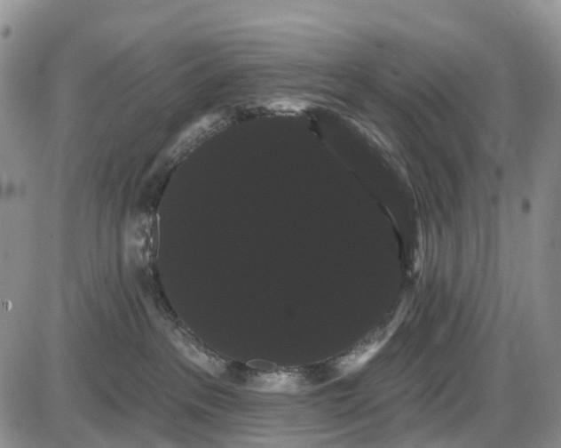 X0000085040237200703191241