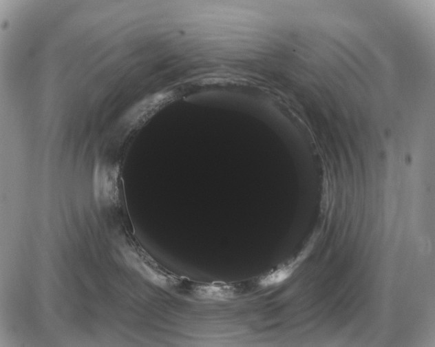 X0000085040239200703191241