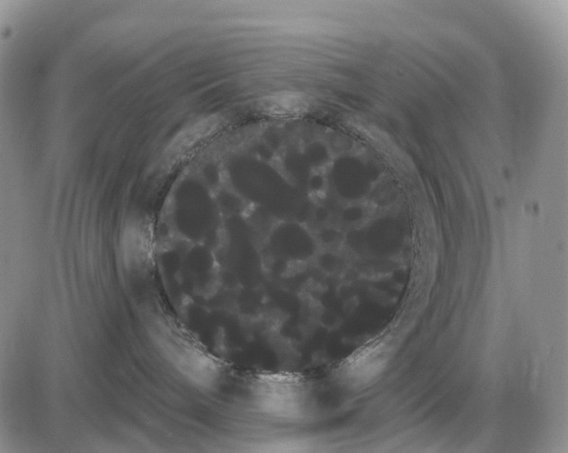 X0000085040240200703191241