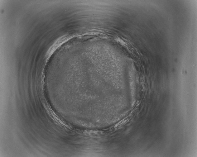 X0000085040242200703191240