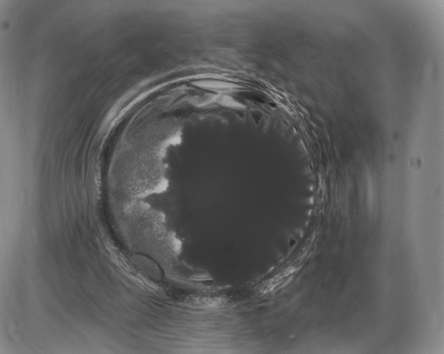 X0000085040247200703191240