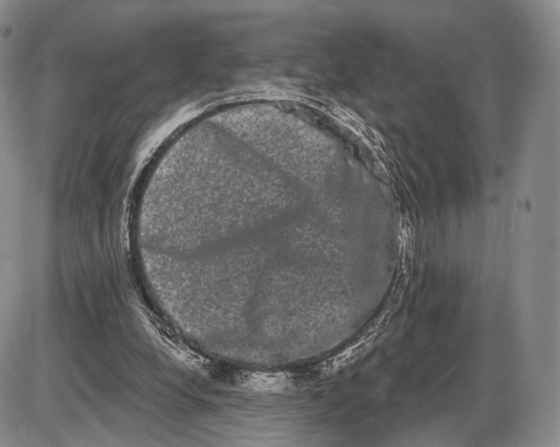 X0000085040248200703191240