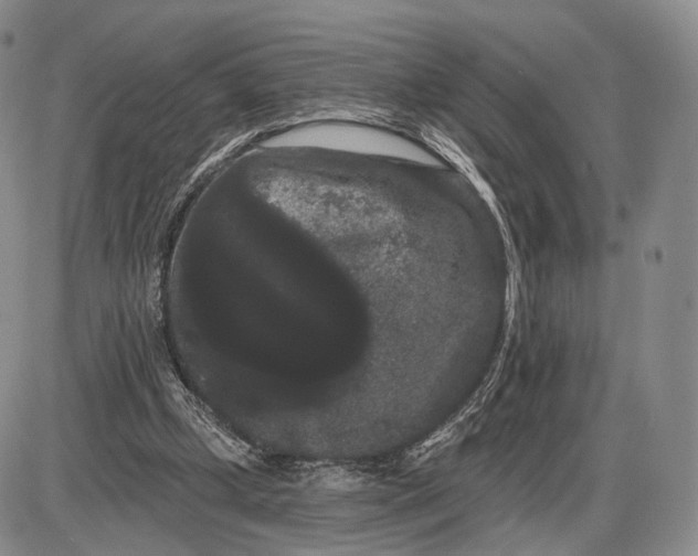 X0000085040249200703191240