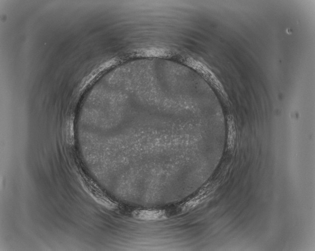 X0000085040251200703191240