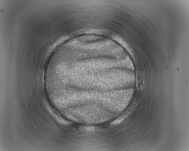 X0000085040253200703191240