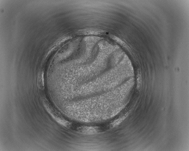 X0000085040254200703191240