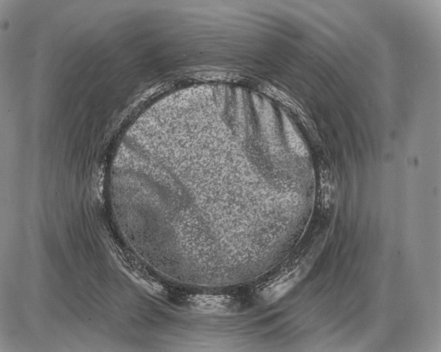 X0000085040255200703191240