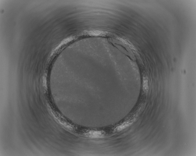 X0000085040256200703191240