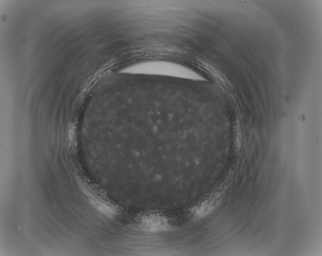 X0000085040258200703191240