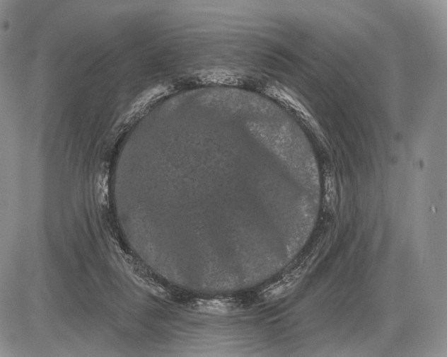 X0000085040259200703191240