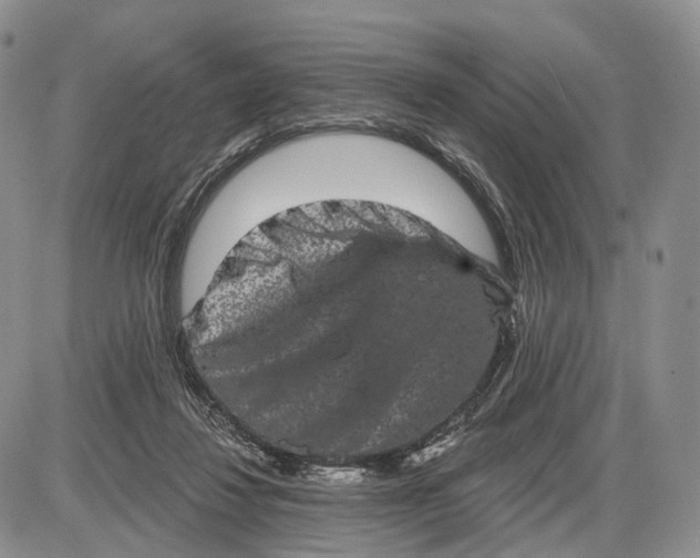 X0000085040260200703191240