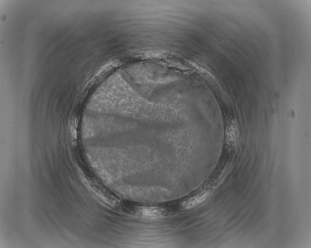 X0000085040264200703191240