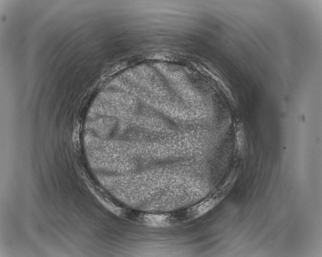 X0000085040265200703191241