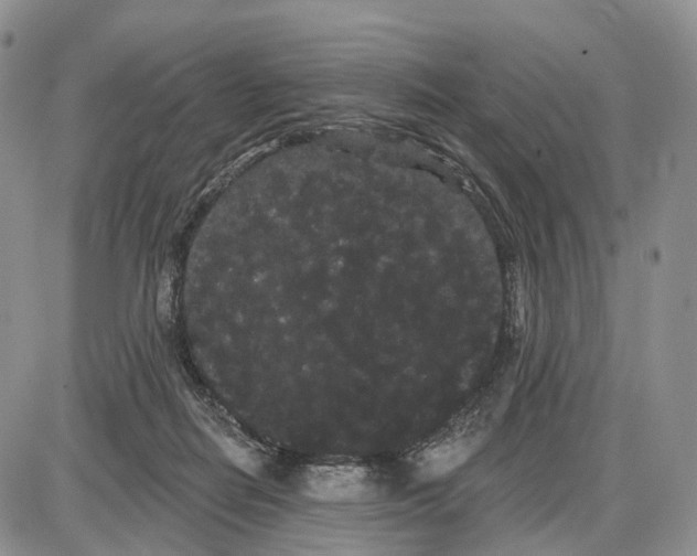 X0000085040266200703191241