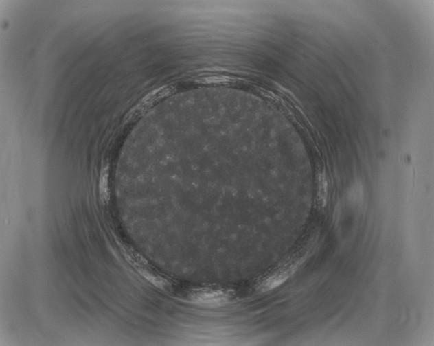 X0000085040267200703191241