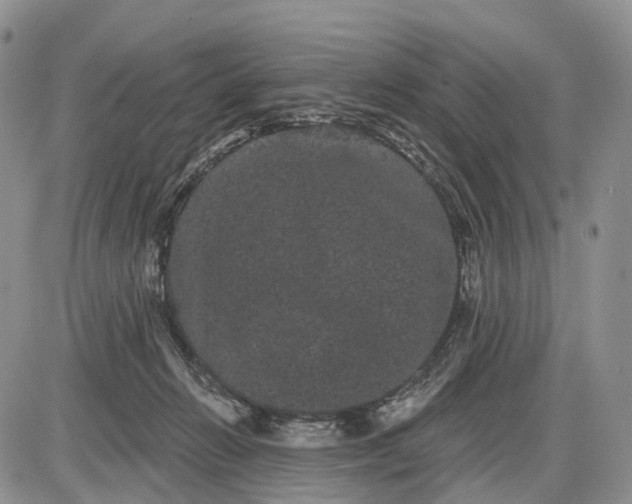 X0000085040270200703191241