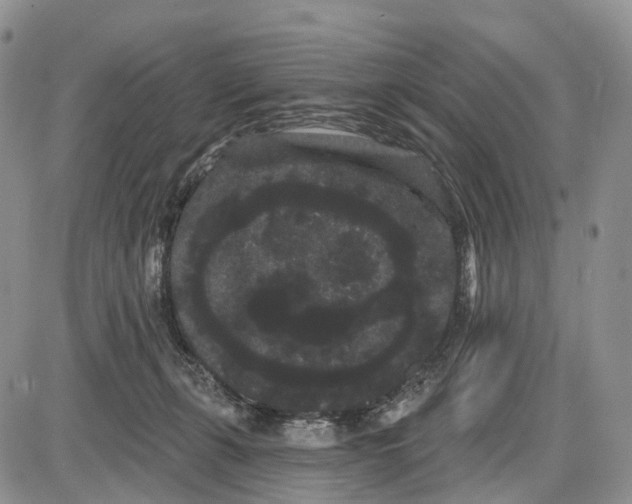 X0000085040271200703191241