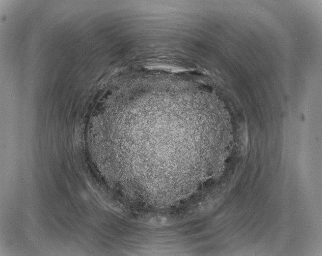 X0000085040272200703191241