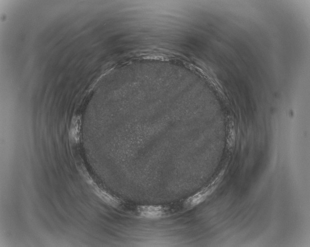 X0000085040273200703191241