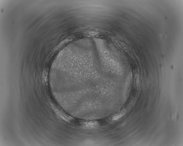 X0000085040274200703191241