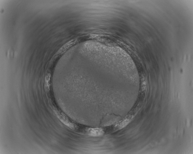 X0000085040275200703191241