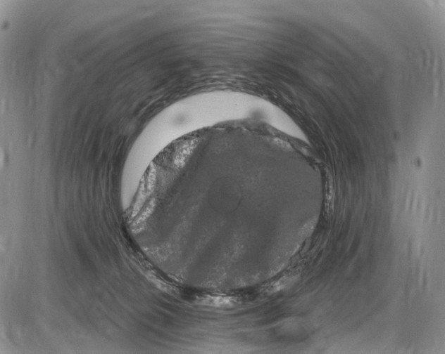 X0000085040276200703191241