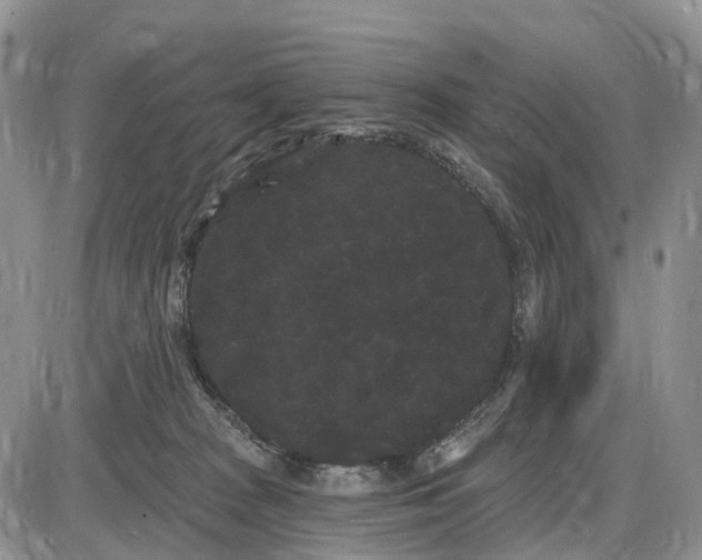 X0000085040277200703191241