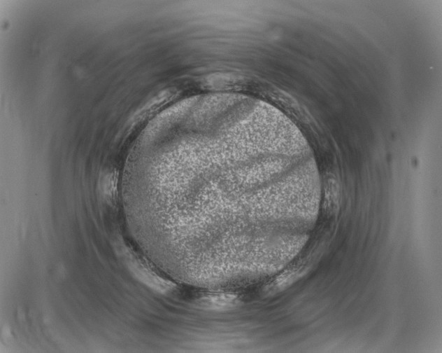 X0000085040278200703191241