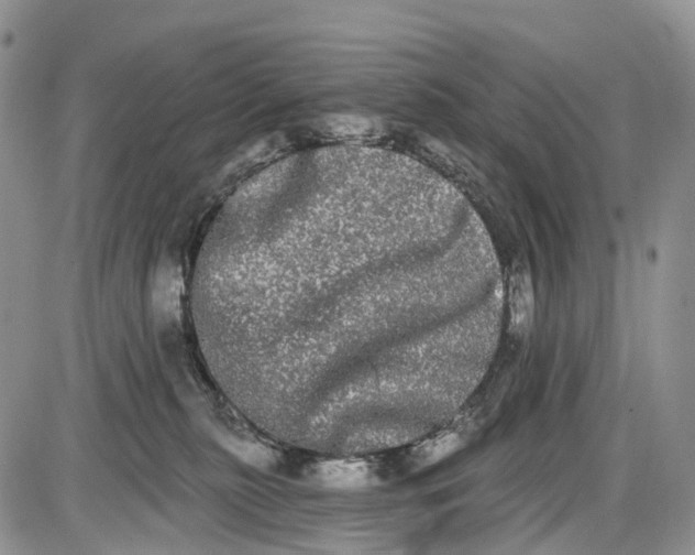 X0000085040279200703191241