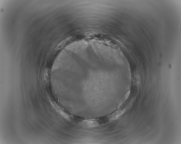 X0000085040280200703191241