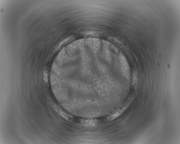 X0000085040282200703191241