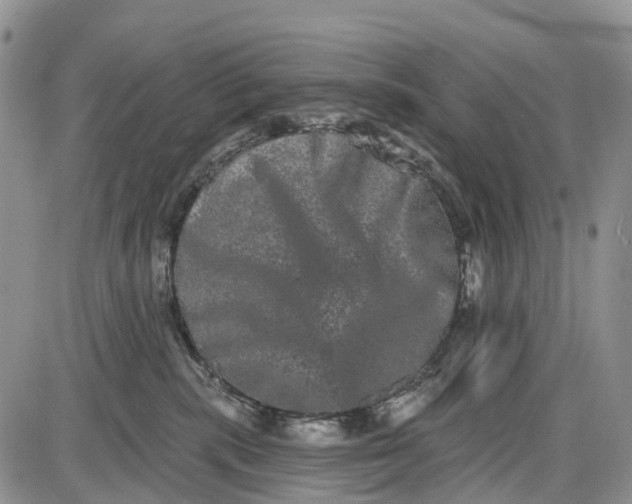 X0000085040283200703191241