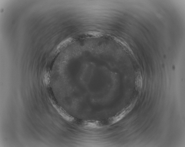 X0000085040285200703191241