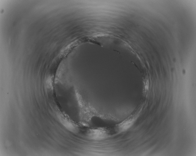 X0000085040286200703191241