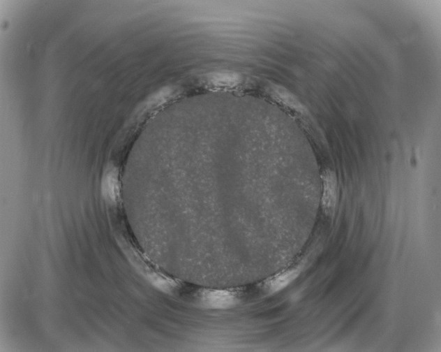 X0000085040287200703191241