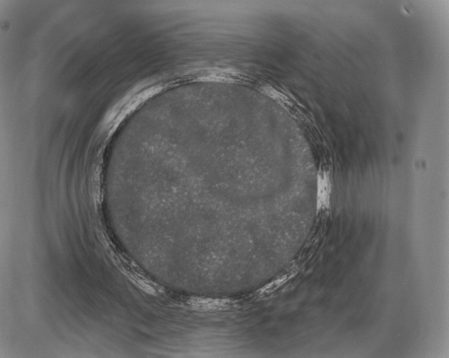 X0000085040291200703191240