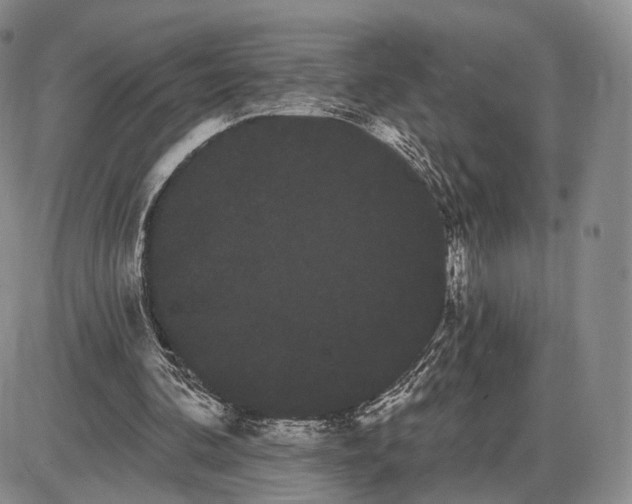 X0000085040292200703191240