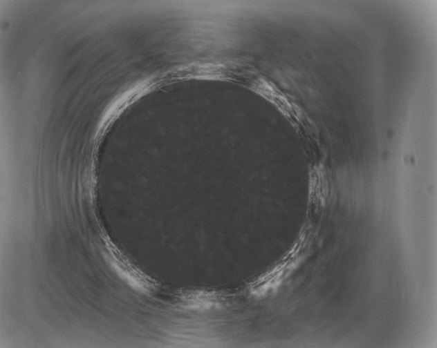 X0000085040293200703191240