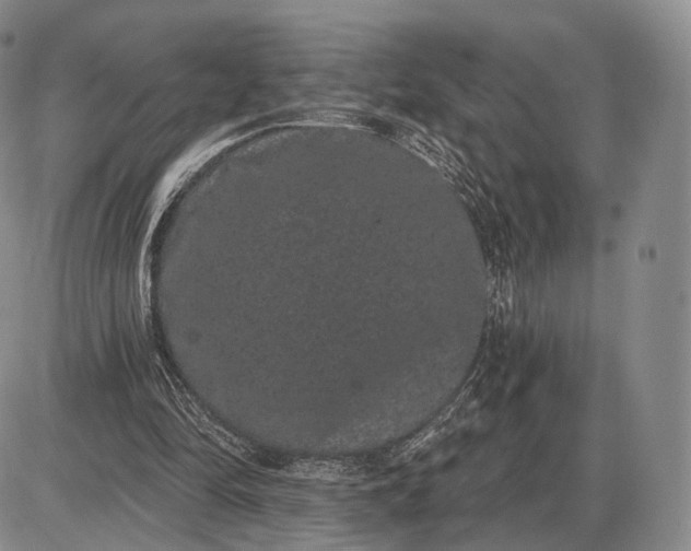 X0000085040294200703191240