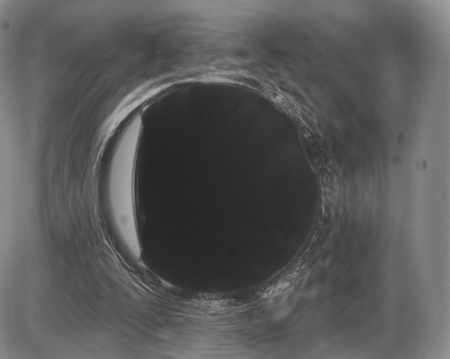 X0000085040295200703191240