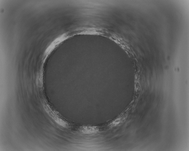 X0000085040296200703191240