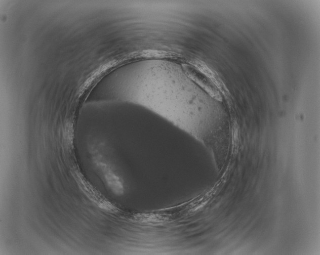 X0000085040297200703191240