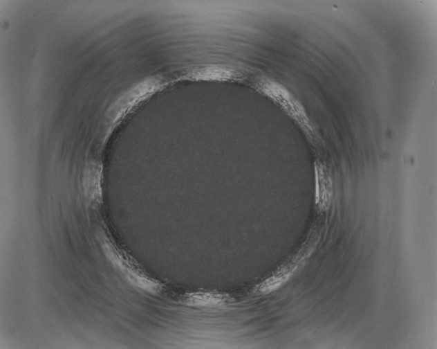 X0000085040300200703191240