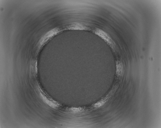 X0000085040302200703191240