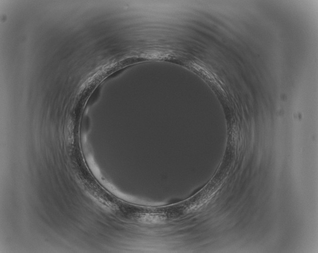 X0000085040303200703191240