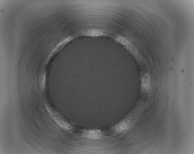 X0000085040304200703191240